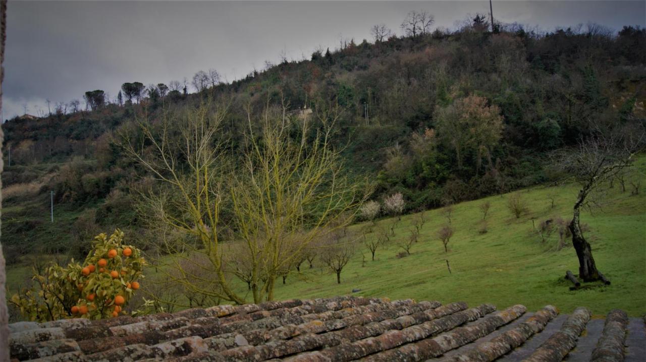 Agriturismo Monterone Ponzano Romano Luaran gambar
